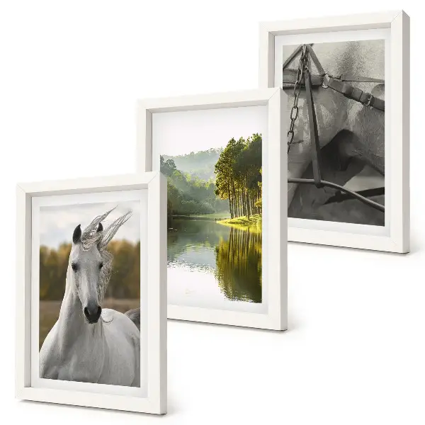 Conjunto de 3 quadros decorativos com paisagem natural de cavalos brancos à beira do rio