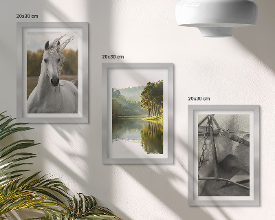Conjunto de 3 quadros decorativos Cavalos brancos à beira do rio, paisagem natural