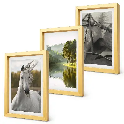 Conjunto de 3 quadros decorativos com paisagem natural de cavalos brancos à beira do rio