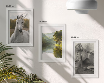 Conjunto de 3 quadros decorativos Cavalos brancos à beira do rio, paisagem natural