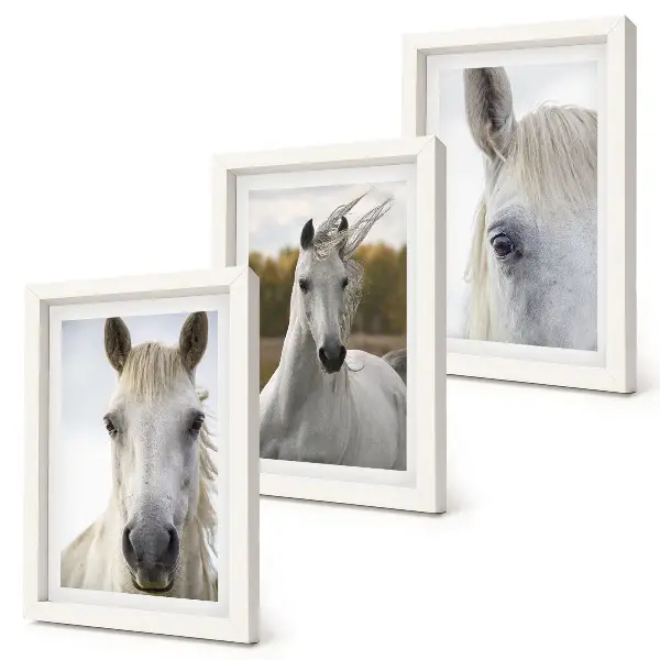 Conjunto de 3 quadros decorativos com cavalos brancos em diversas poses em fundo natural