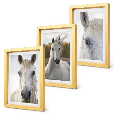 Conjunto de 3 quadros decorativos Cavalos brancos em diversas poses contra um fundo natural.