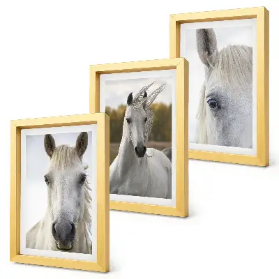 Conjunto de 3 quadros decorativos com cavalos brancos em diversas poses em fundo natural