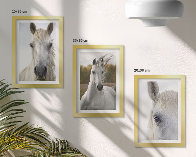 Conjunto de 3 quadros decorativos Cavalos brancos em diversas poses contra um fundo natural.