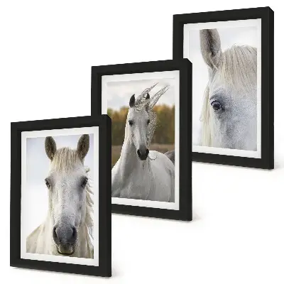 Conjunto de 3 quadros decorativos com cavalos brancos em diversas poses em fundo natural