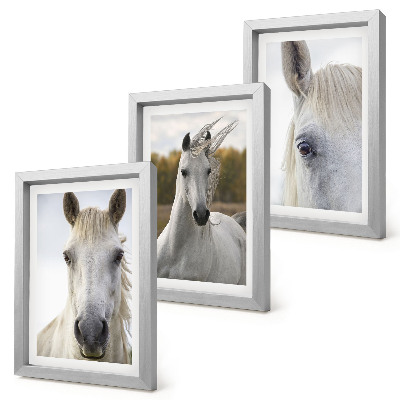 Conjunto de 3 quadros decorativos Cavalos brancos em diversas poses contra um fundo natural.