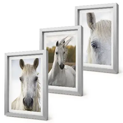 Conjunto de 3 quadros decorativos com cavalos brancos em diversas poses em fundo natural