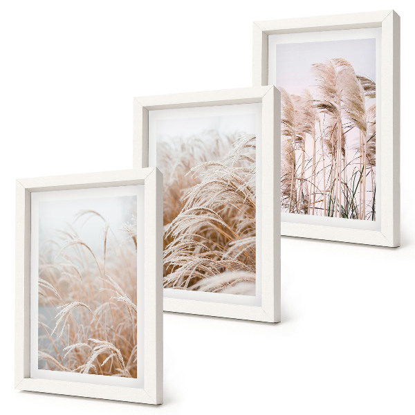 Conjunto de 3 quadros decorativos Campos de grama em delicados tons de marrom e bege.