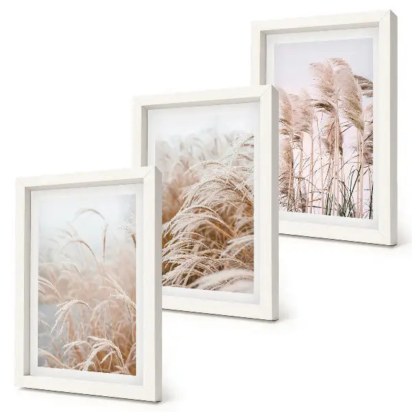 Conjunto de 3 quadros decorativos com campos de grama em delicados tons de marrom e bege