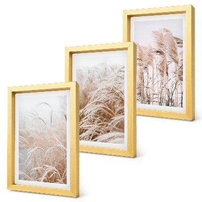 Conjunto de 3 quadros decorativos Campos de grama em delicados tons de marrom e bege.