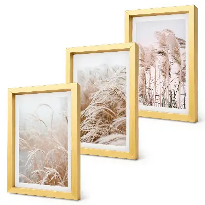 Conjunto de 3 quadros decorativos com campos de grama em delicados tons de marrom e bege