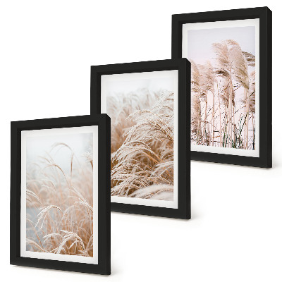 Conjunto de 3 quadros decorativos Campos de grama em delicados tons de marrom e bege.