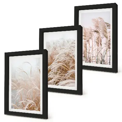 Conjunto de 3 quadros decorativos com campos de grama em delicados tons de marrom e bege