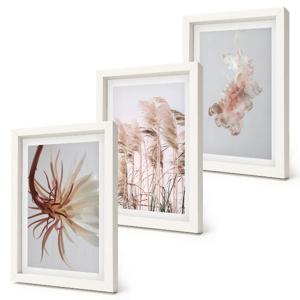 Conjunto de molduras com imagens Flores e gramíneas sobre um fundo claro em um conjunto harmonioso.