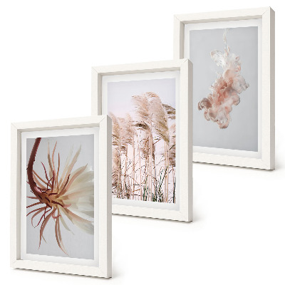 Conjunto de molduras com imagens Flores e gramíneas sobre um fundo claro em um conjunto harmonioso.