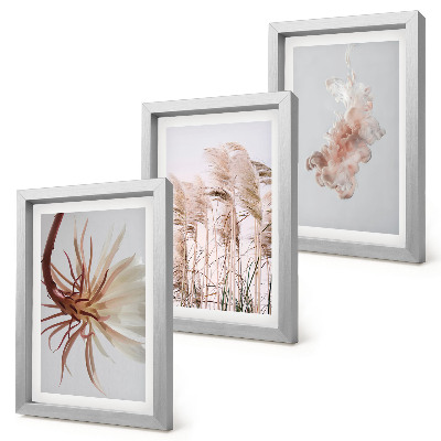 Conjunto de molduras com imagens Flores e gramíneas sobre um fundo claro em um conjunto harmonioso.