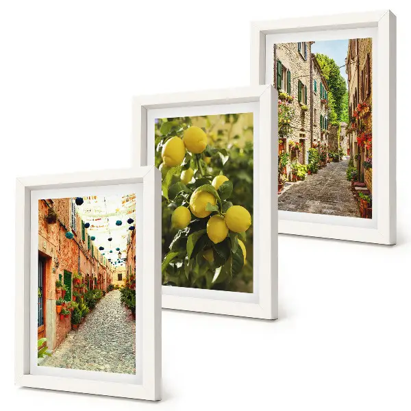 Conjunto de 3 quadros decorativos com estampa de ruas encantadoras adornadas por flores e limões