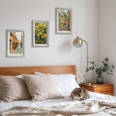 Conjunto de 3 quadros decorativos Ruas encantadoras com flores e limões ao fundo.