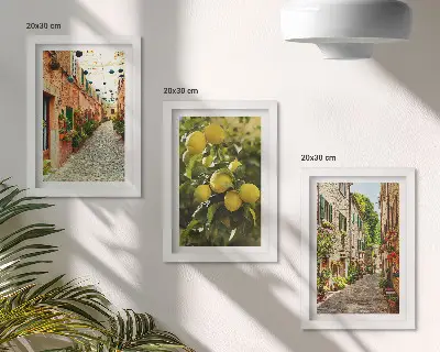 Conjunto de 3 quadros decorativos com estampa de ruas encantadoras adornadas por flores e limões