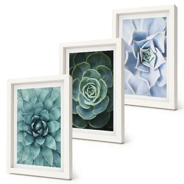 Conjunto de 3 quadros decorativos com estampas de plantas suculentas em tons de verde e turquesa
