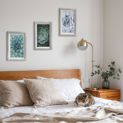 Conjunto de 3 quadros decorativos Plantas suculentas em tons de verde e turquesa.