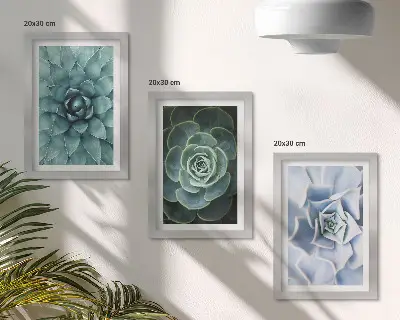 Conjunto de 3 quadros decorativos com estampas de plantas suculentas em tons de verde e turquesa