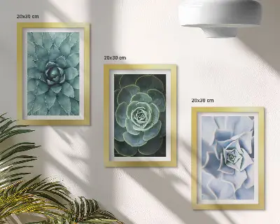 Conjunto de 3 quadros decorativos com estampas de plantas suculentas em tons de verde e turquesa