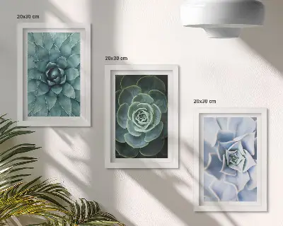 Conjunto de 3 quadros decorativos com estampas de plantas suculentas em tons de verde e turquesa