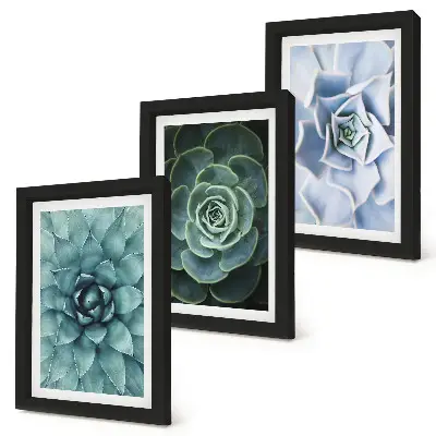 Conjunto de 3 quadros decorativos com estampas de plantas suculentas em tons de verde e turquesa