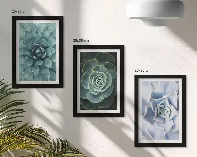 Conjunto de 3 quadros decorativos com estampas de plantas suculentas em tons de verde e turquesa