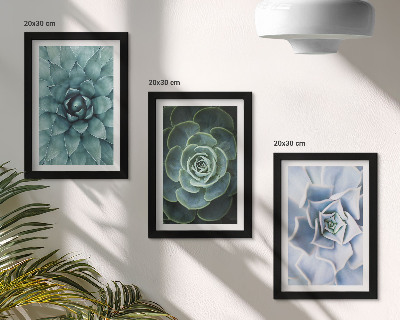 Conjunto de 3 quadros decorativos Plantas suculentas em tons de verde e turquesa.