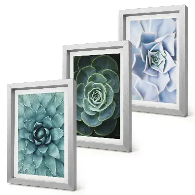 Conjunto de 3 quadros decorativos com estampas de plantas suculentas em tons de verde e turquesa