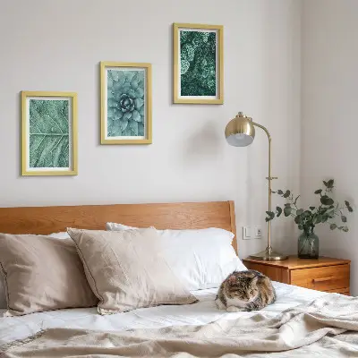 Conjunto de molduras com imagens de plantas imagens em close-up de suculentas e folhas
