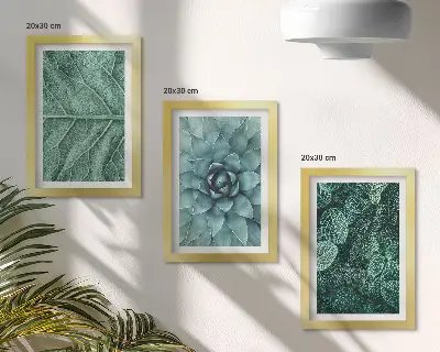 Conjunto de molduras com imagens de plantas imagens em close-up de suculentas e folhas