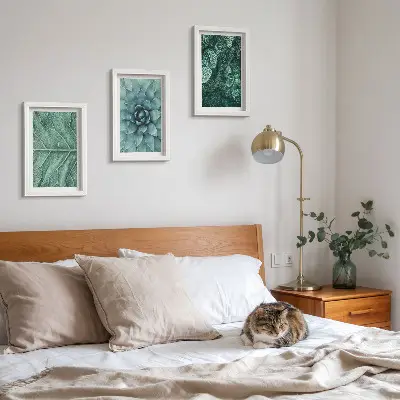 Conjunto de molduras com imagens de plantas imagens em close-up de suculentas e folhas
