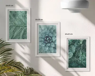 Conjunto de molduras com imagens de plantas imagens em close-up de suculentas e folhas
