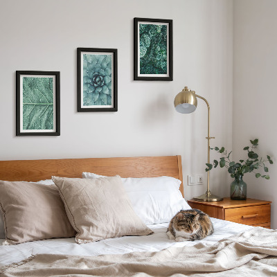 Conjunto de molduras com imagens Imagens em close-up de plantas suculentas e folhas.