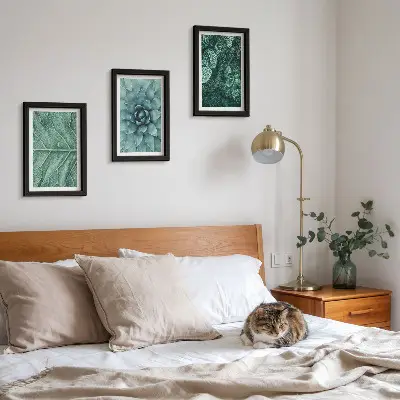 Conjunto de molduras com imagens de plantas imagens em close-up de suculentas e folhas