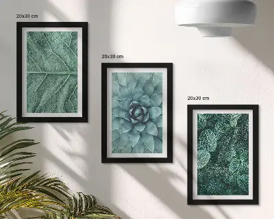 Conjunto de molduras com imagens de plantas imagens em close-up de suculentas e folhas