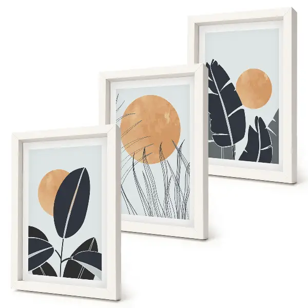 Conjunto de 3 quadros decorativos com padrões de plantas e sóis grandes em estilo minimalista