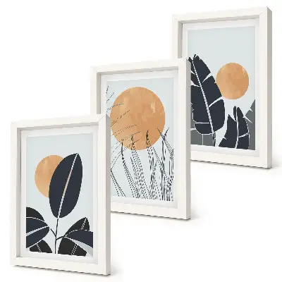 Conjunto de 3 quadros decorativos com padrões de plantas e sóis grandes em estilo minimalista