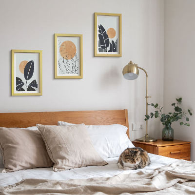 Conjunto de 3 quadros decorativos Padrões de plantas com sóis grandes, estilo minimalista