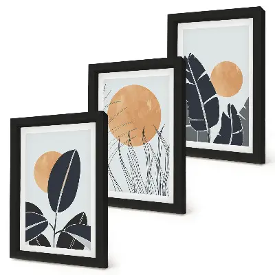 Conjunto de 3 quadros decorativos com padrões de plantas e sóis grandes em estilo minimalista
