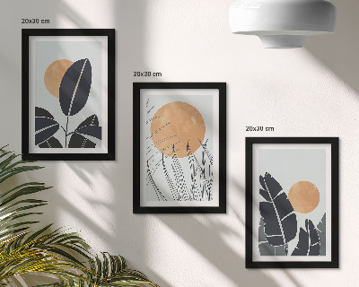Conjunto de 3 quadros decorativos Padrões de plantas com sóis grandes, estilo minimalista