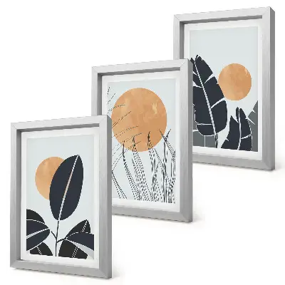 Conjunto de 3 quadros decorativos com padrões de plantas e sóis grandes em estilo minimalista