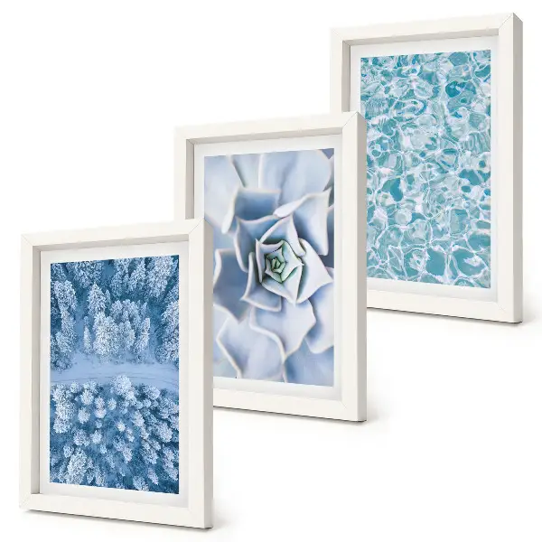 Conjunto de molduras com imagens paisagem de floresta de inverno com flores azuis e superfície da água