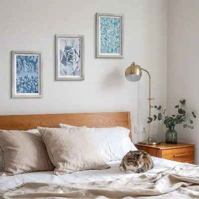 Conjunto de molduras com imagens paisagem de floresta de inverno com flores azuis e superfície da água