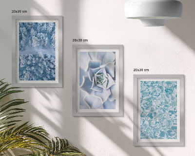 Conjunto de molduras com imagens floresta de inverno flor azul superfície da água azul