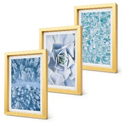 Conjunto de molduras com imagens paisagem de floresta de inverno com flores azuis e superfície da água