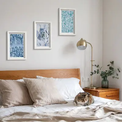 Conjunto de molduras com imagens paisagem de floresta de inverno com flores azuis e superfície da água